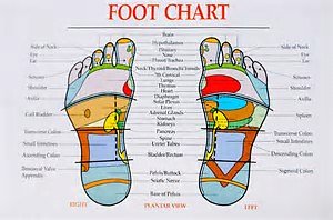 About Reflexology. Foot Chart